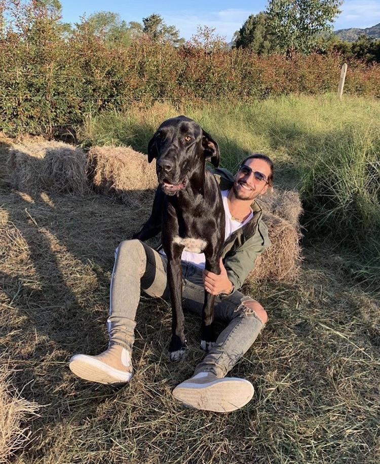 Beatols Beige | Beige | Suede X MALUMA | Limited Edition