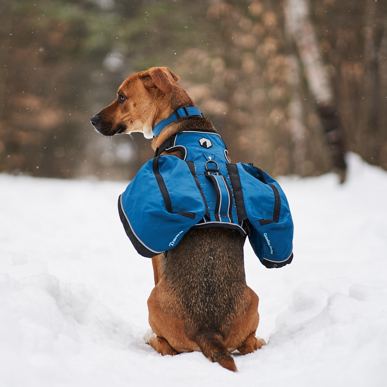 Canadian Canine Traverse Day Pack