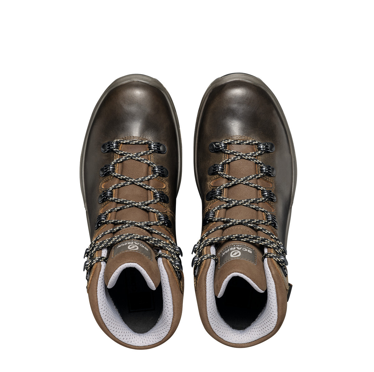 Scarpa Terra Gore-Tex Boots - Women's