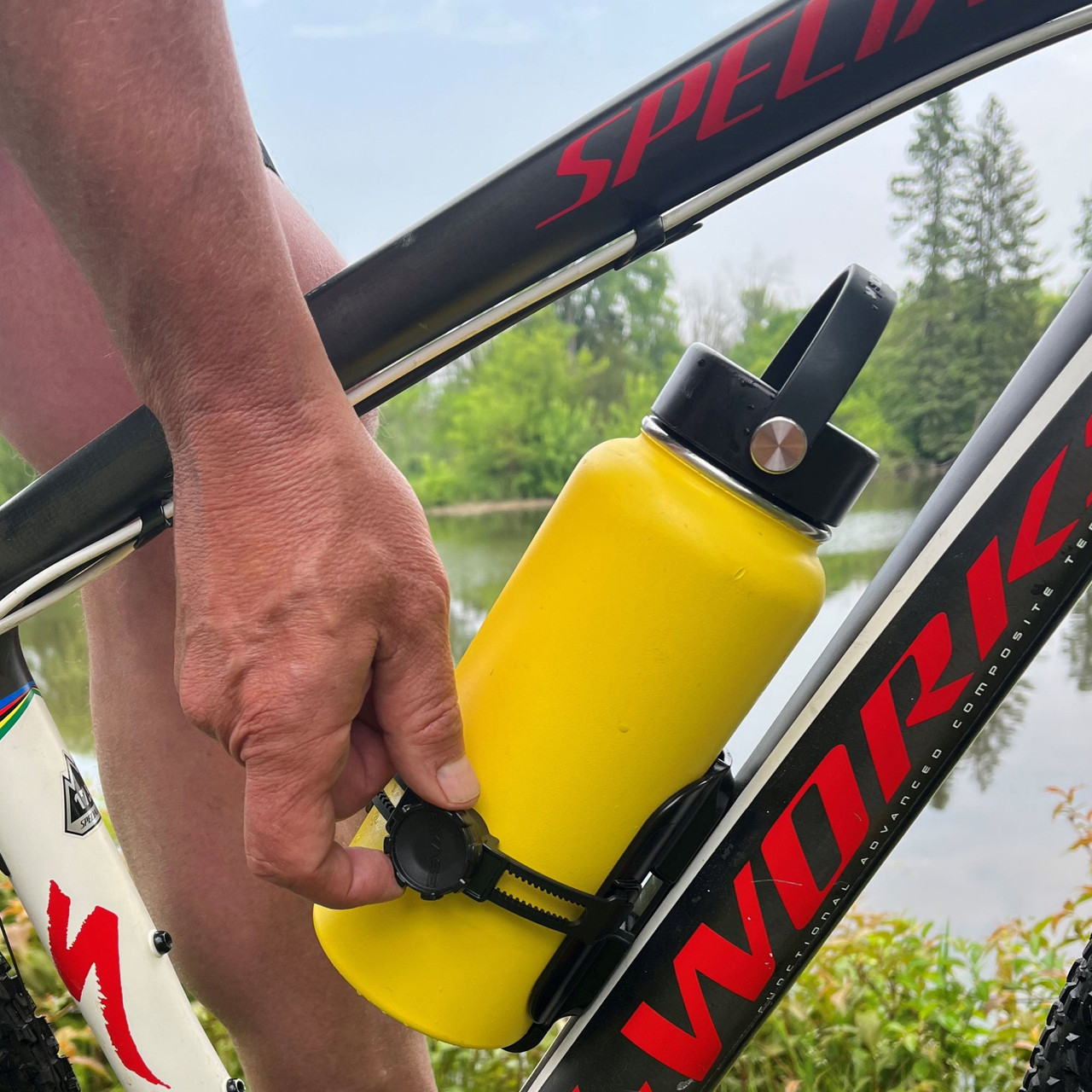 BiKase Sidewinder ABC Cage