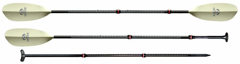 Accent Transformer Paddle