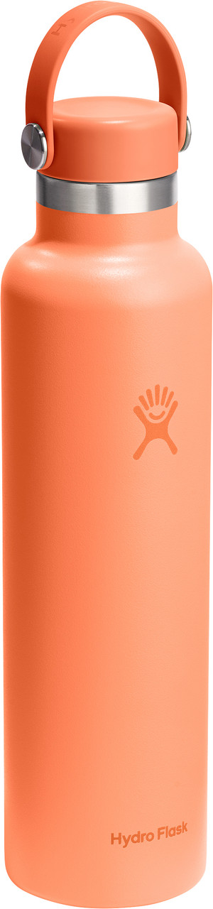Hydro Flask Standard Mouth Bottle 710ml