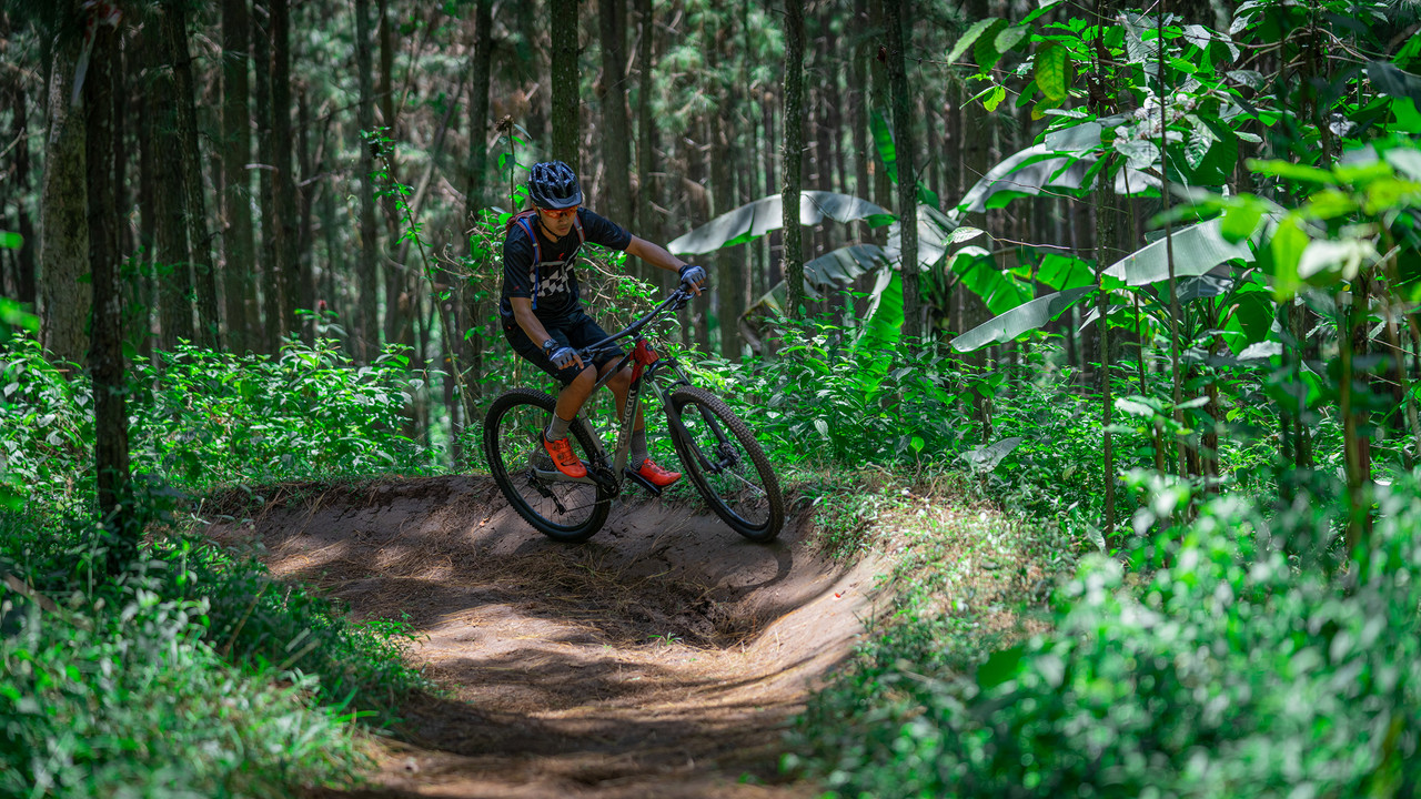 Polygon Xtrada 5 Mountain Bicycle - Unisex