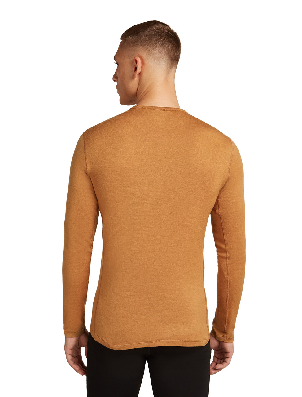 icebreaker Merino 260 Tech Long Sleeve Crewe - Men's