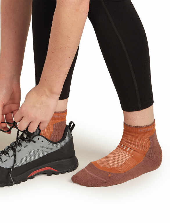 icebreaker Hike+ Light Mini Socks - Women's
