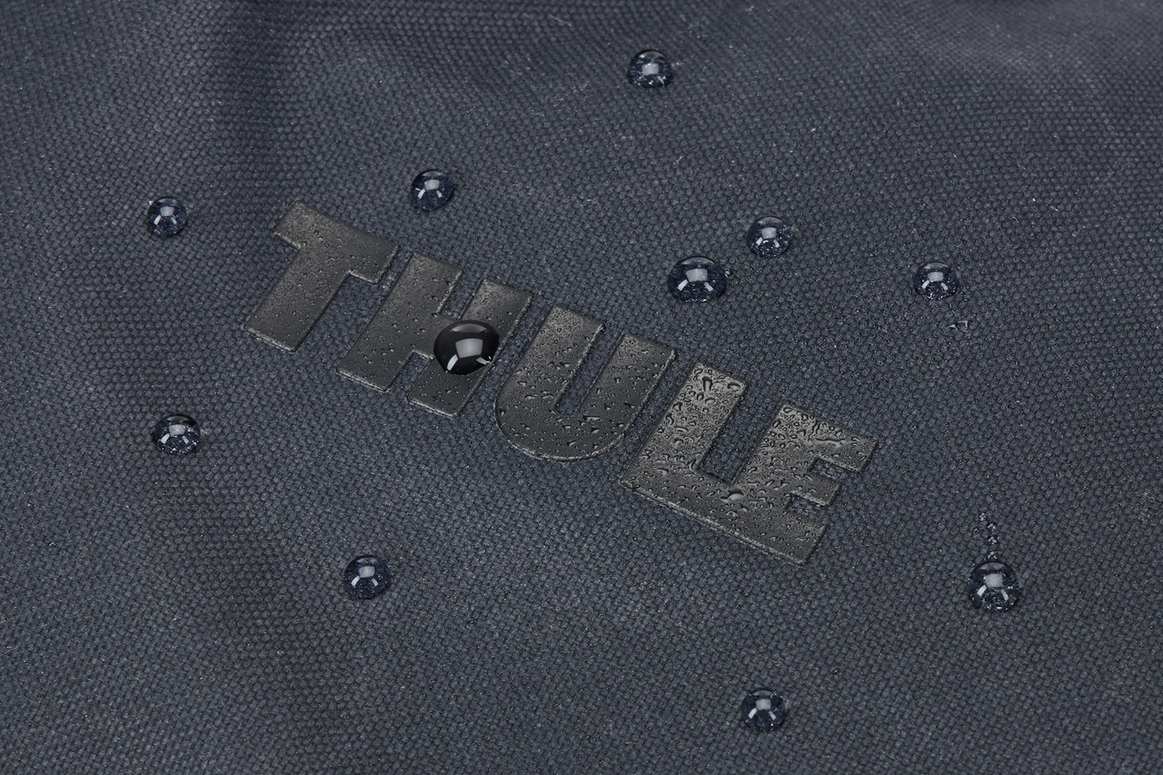 Thule Aion Travel Daypack - Unisex