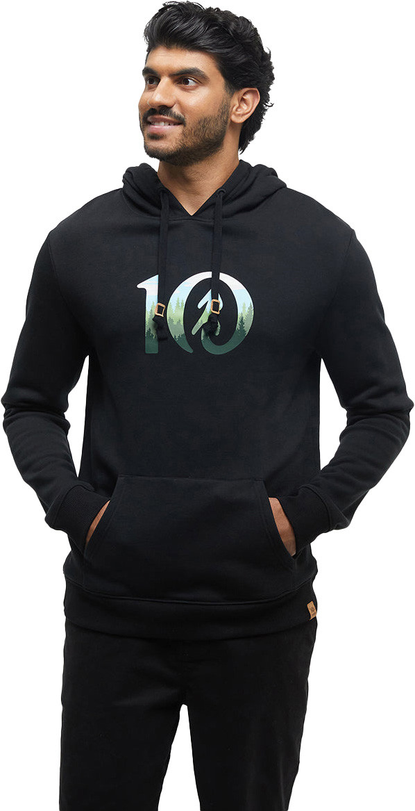 tentree Cloudy Forest Ten Hoodie - Men's