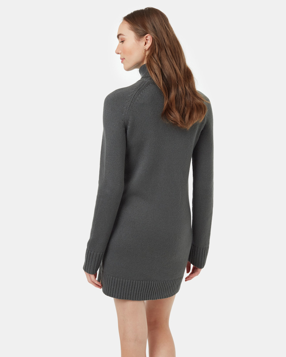 tentree Highline Turtleneck Dress - Women's