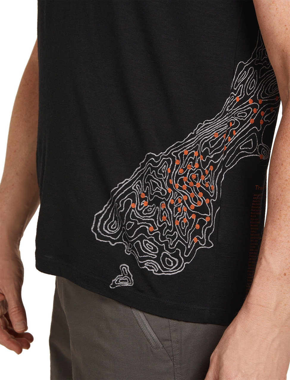 icebreaker Merino 150 Tech Lite Short Sleeve Tee - Men's