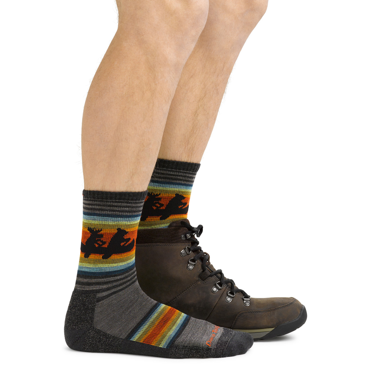 Darn Tough Willoughby Lightweight Cushion Micro Crew Socks - Unisex