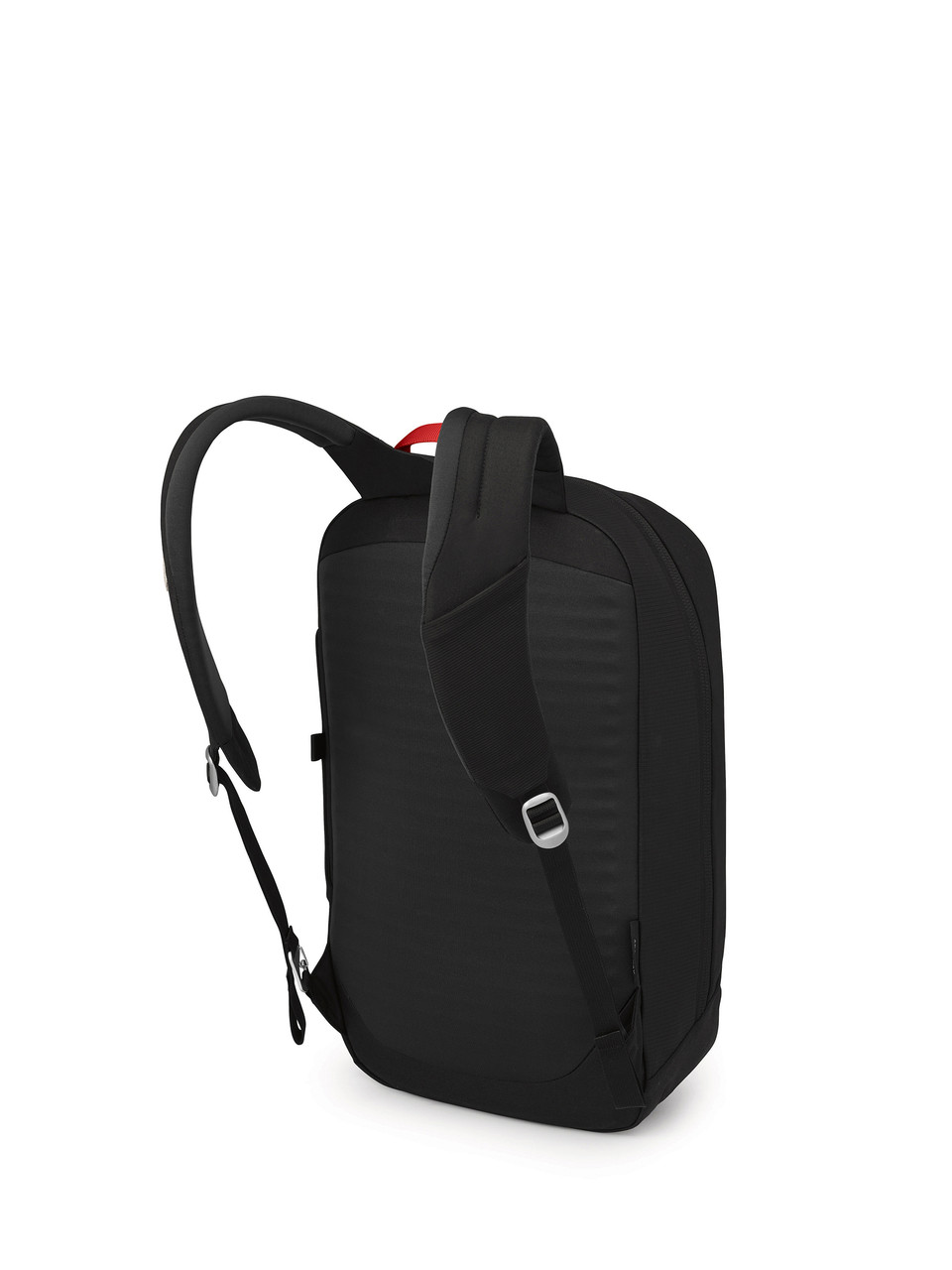 Arcane Large 20L Daypack