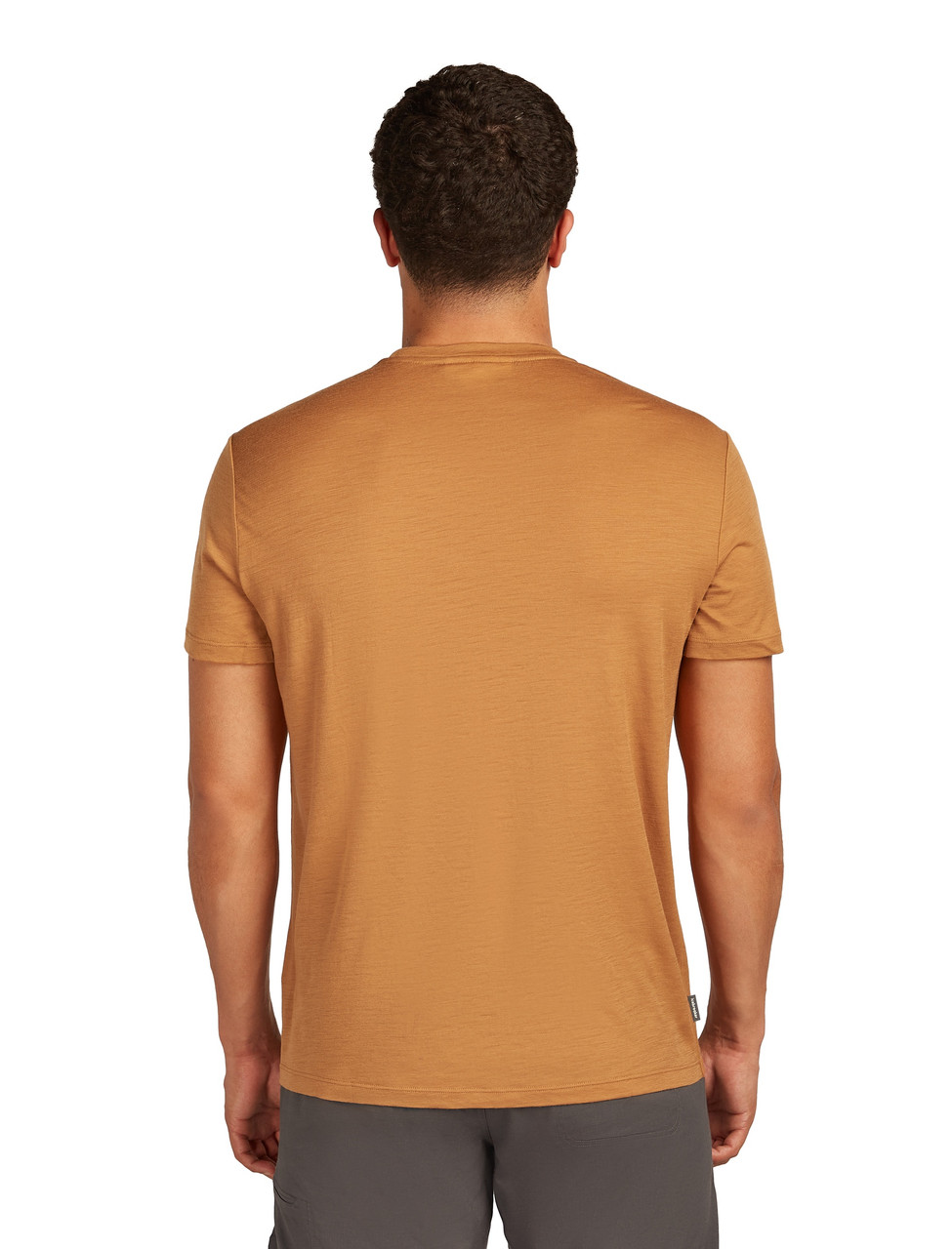 icebreaker Merino 150 Tech Lite Short Sleeve Tee - Men's