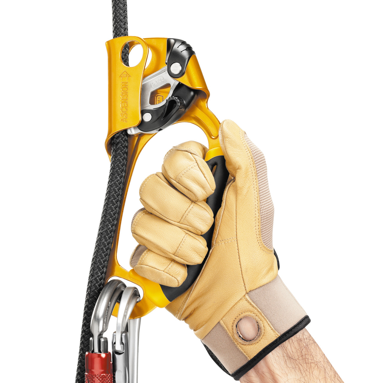 Petzl Ascension Ascender