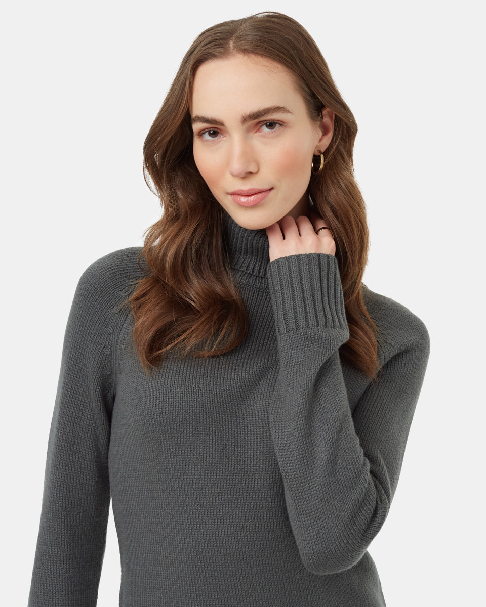 tentree Highline Turtleneck Dress - Women's