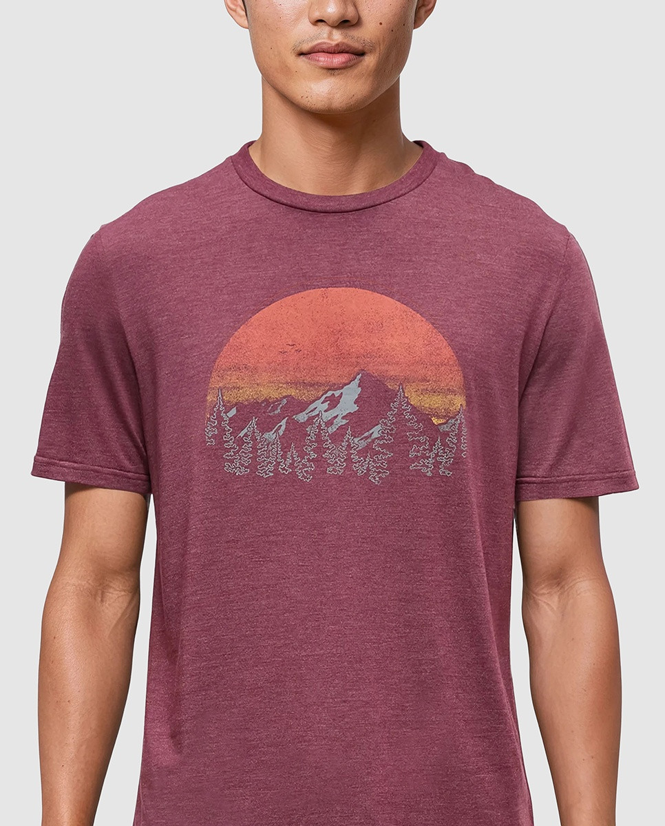 tentree Vintage Sunset T-Shirt. - Men's