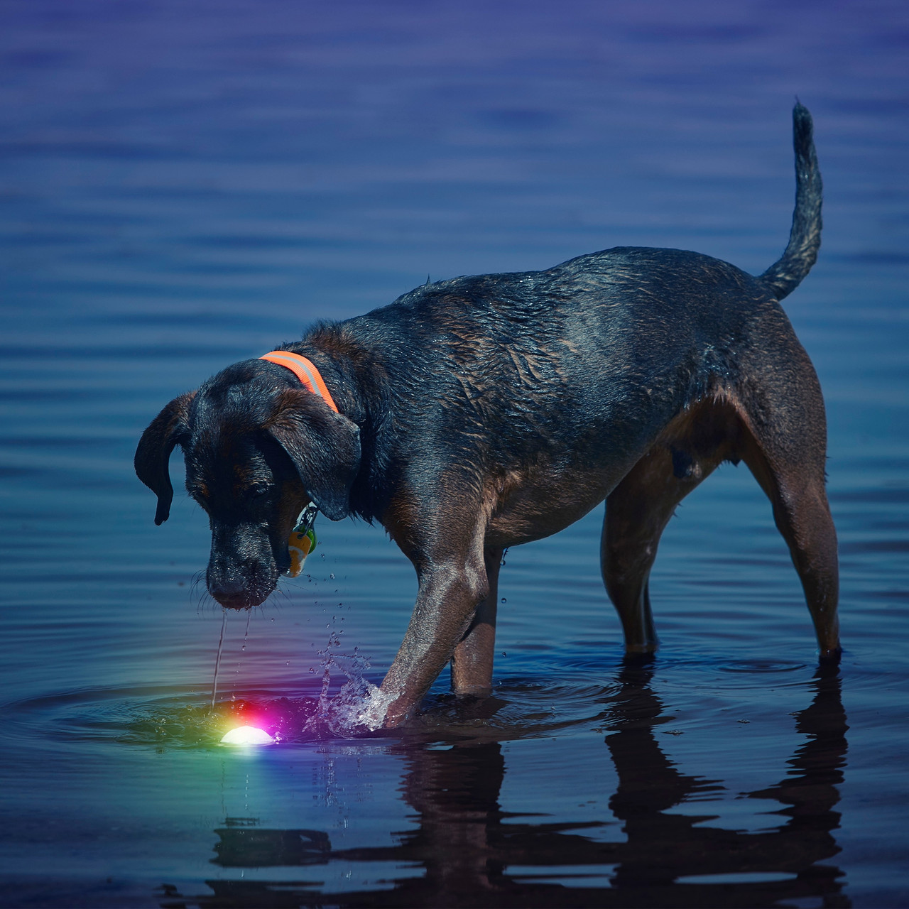 Nite Ize LED Ball