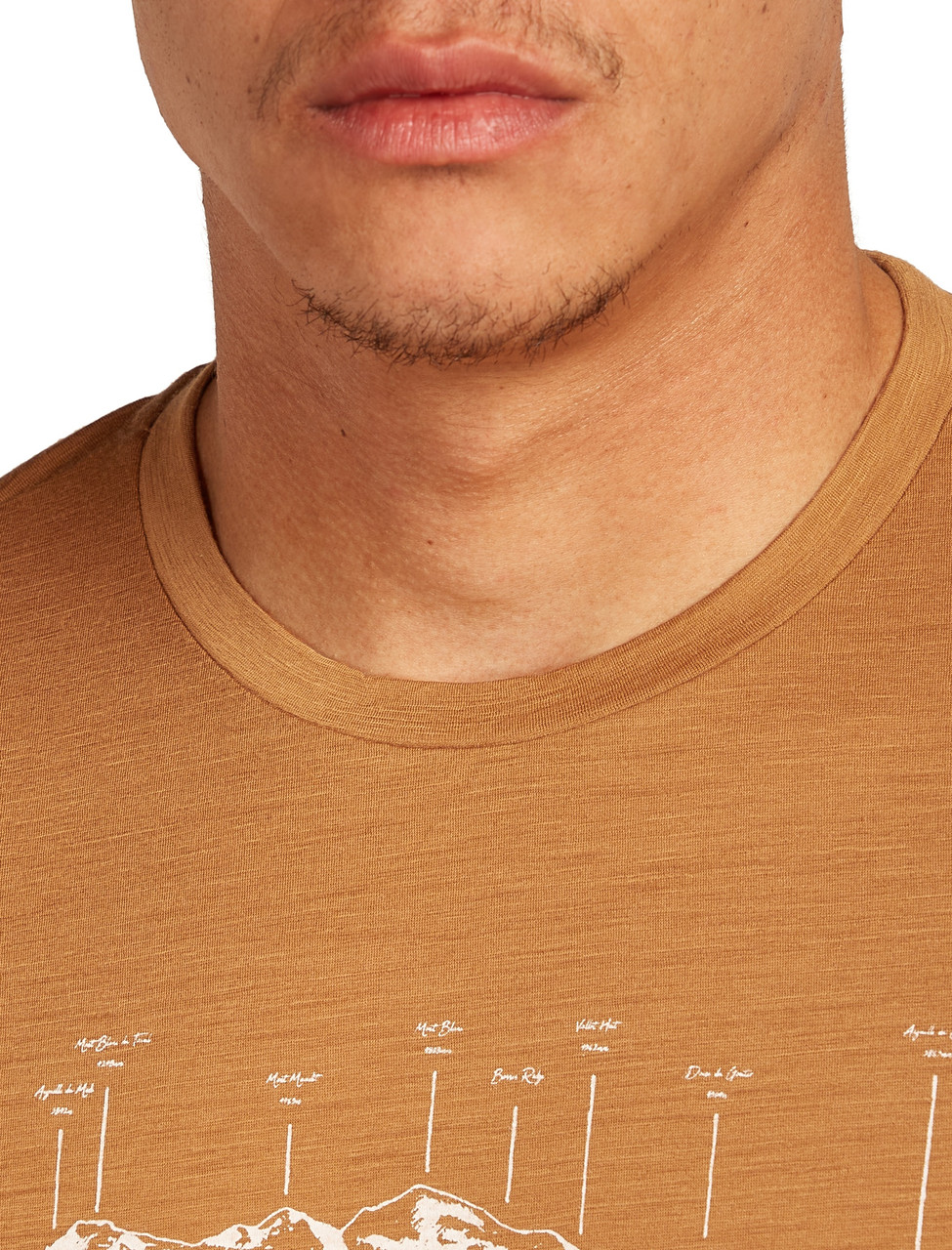 icebreaker Merino 150 Tech Lite Short Sleeve Tee - Men's