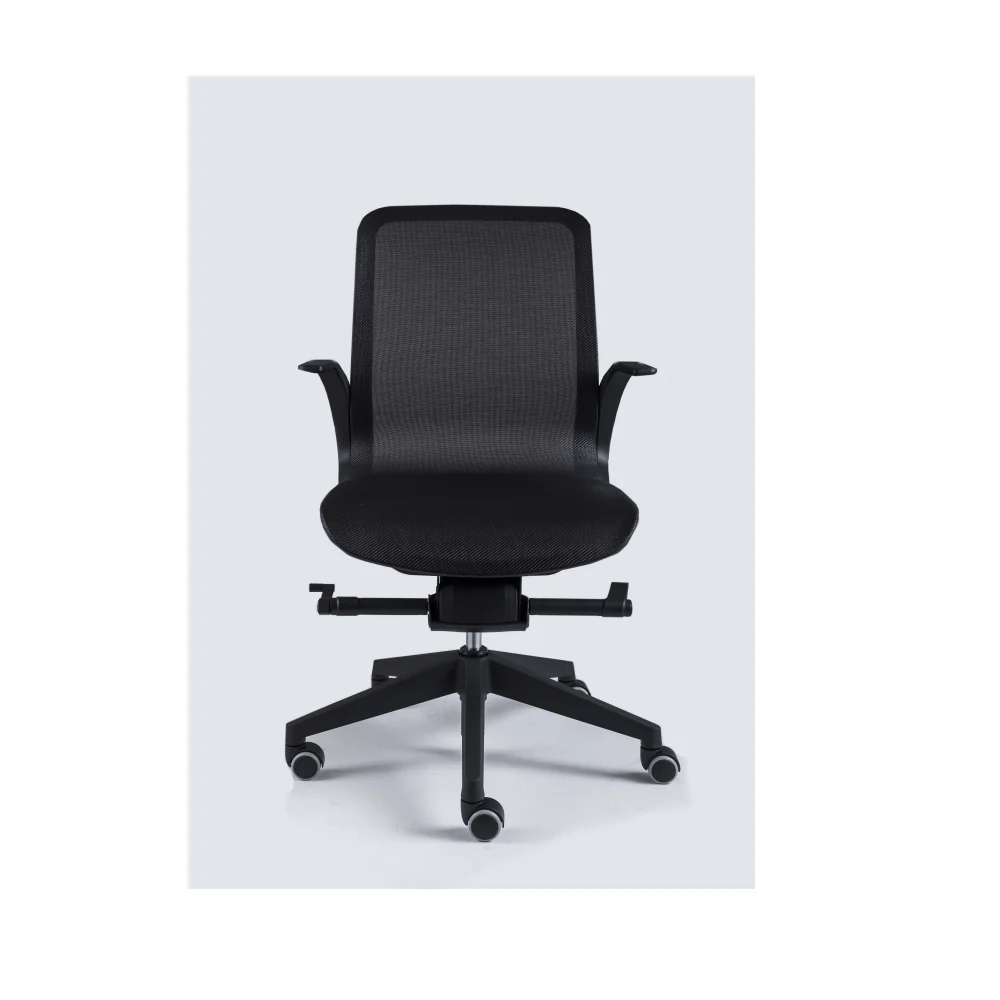 Smartlight EX2 Executive Chair
