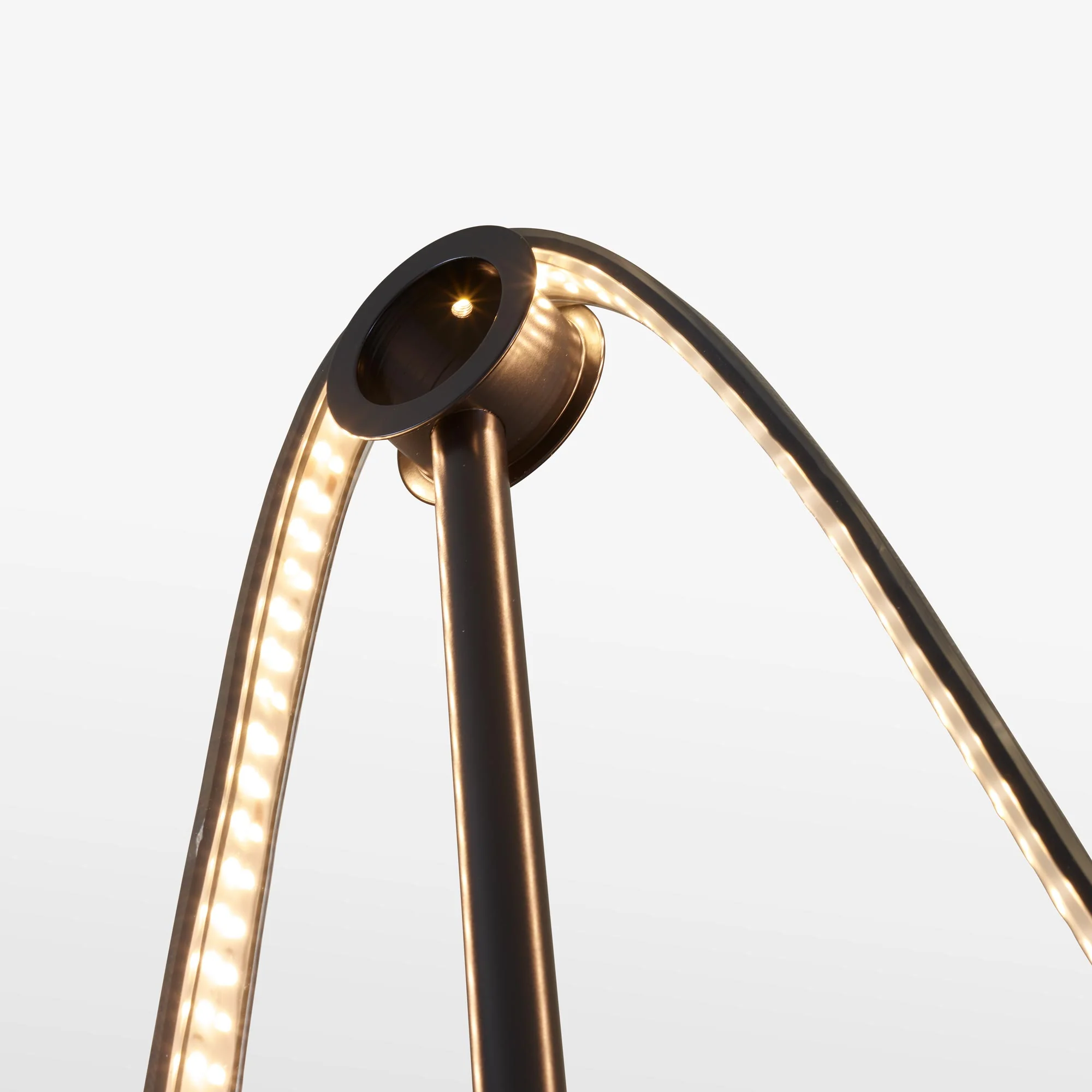 Feston Stem + Led Ribbon + Wall Support + Hook