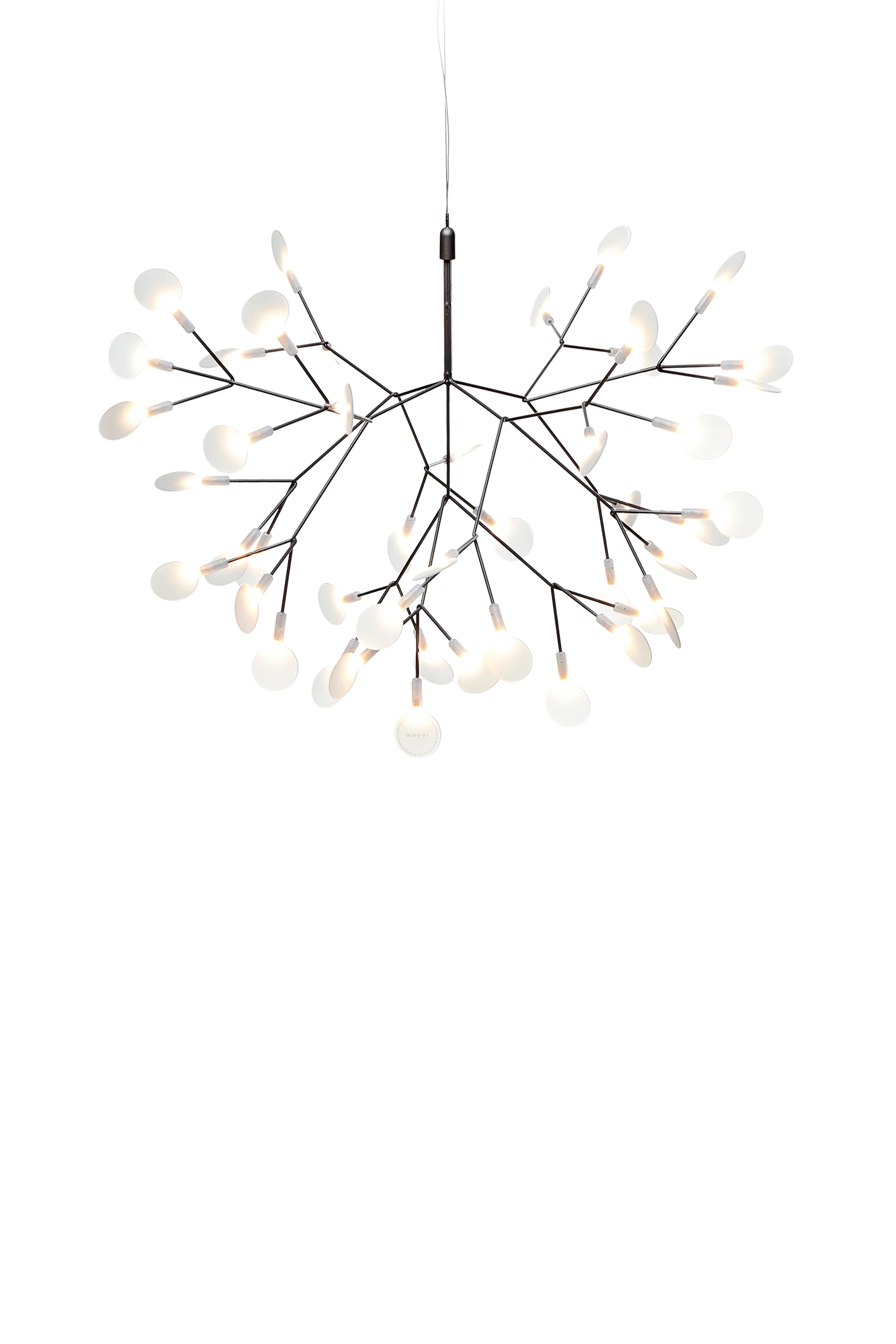 HERACLEUM III Suspended