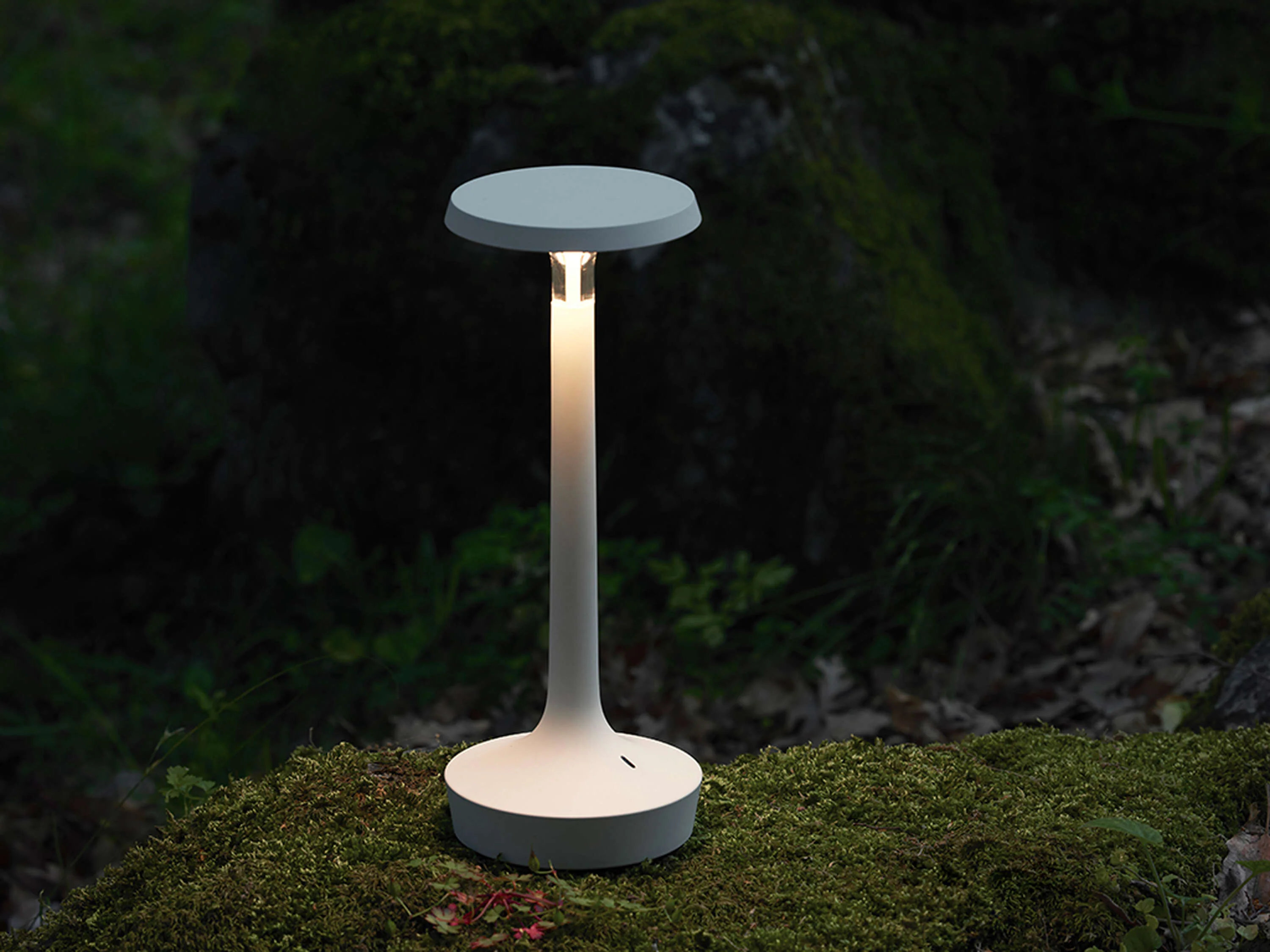 Bon Jour Unplugged Table Lamps