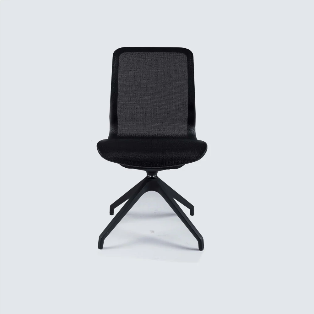 Smartlight EX17 Executive Chair