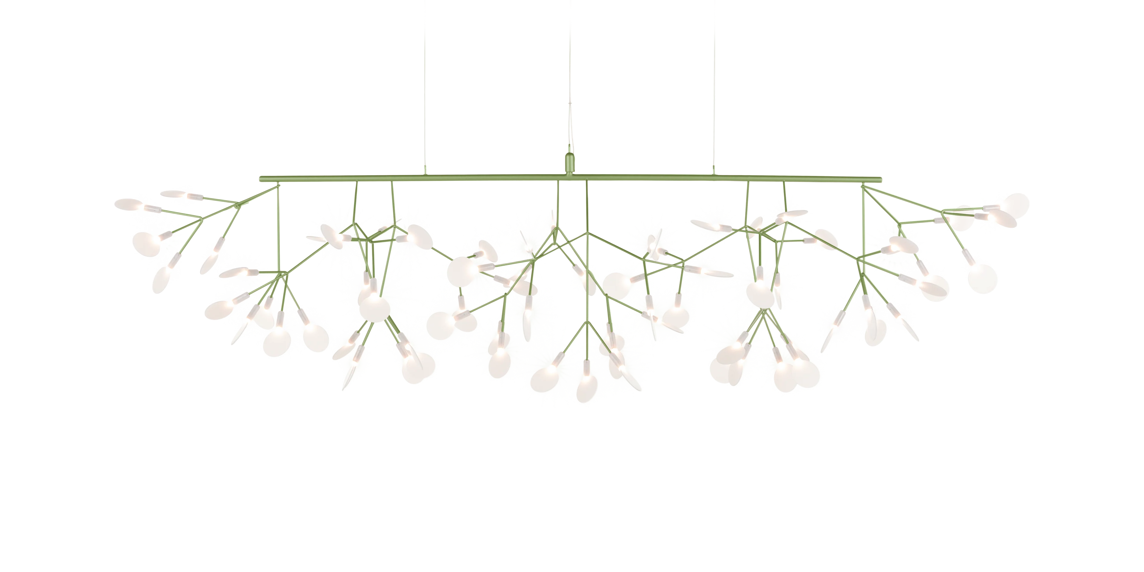 HERACLEUM III Linear