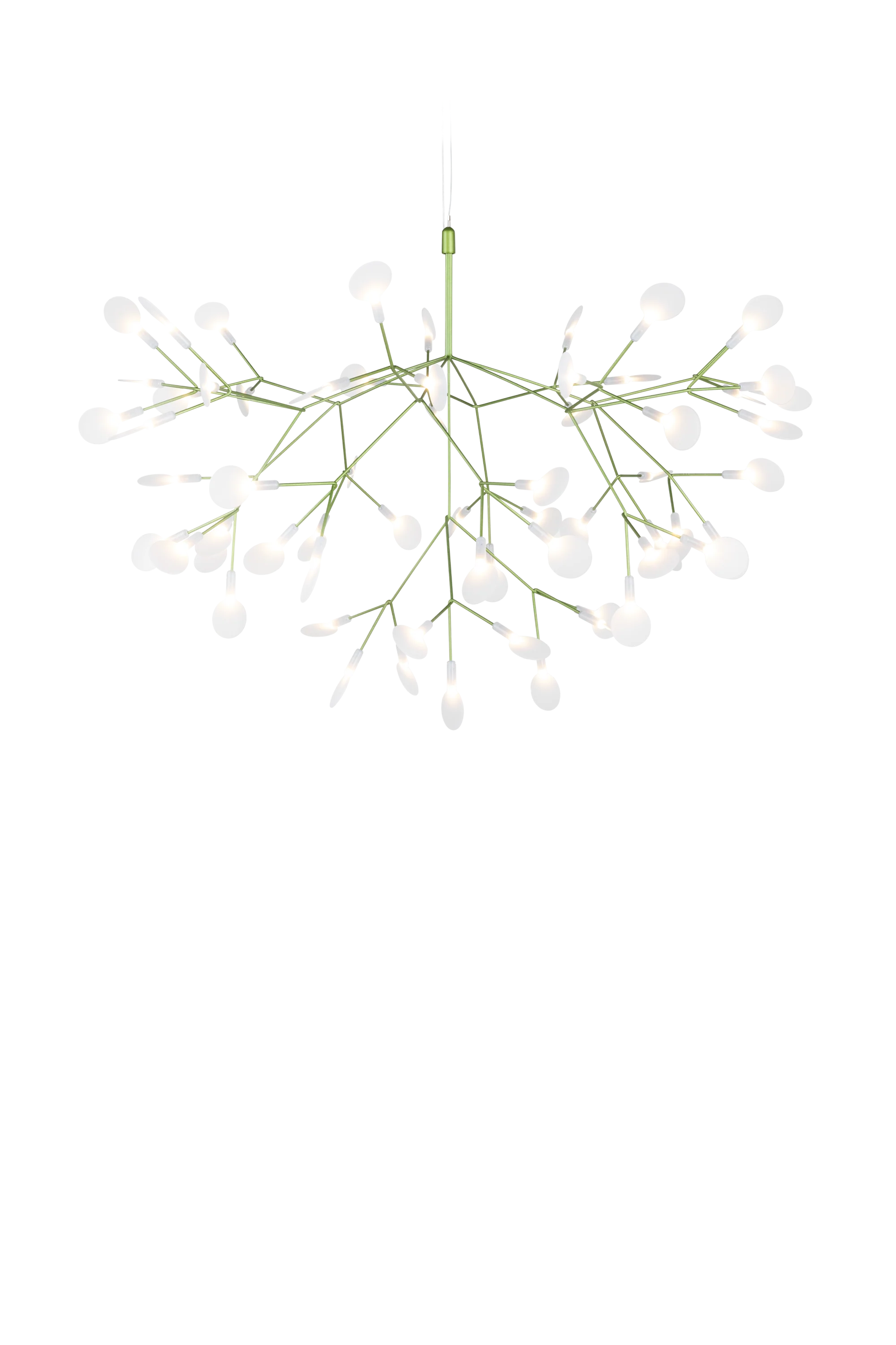 HERACLEUM III Suspended