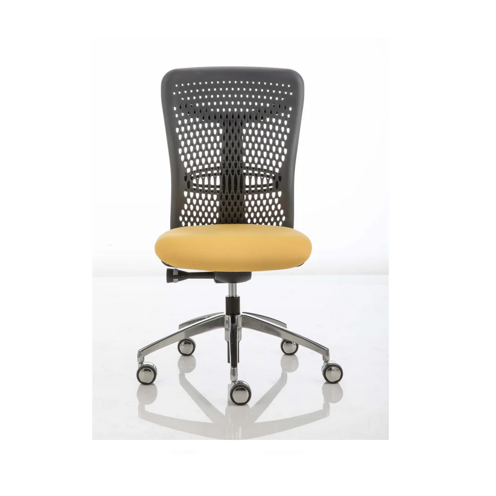 Smartback PK1 Task Chair