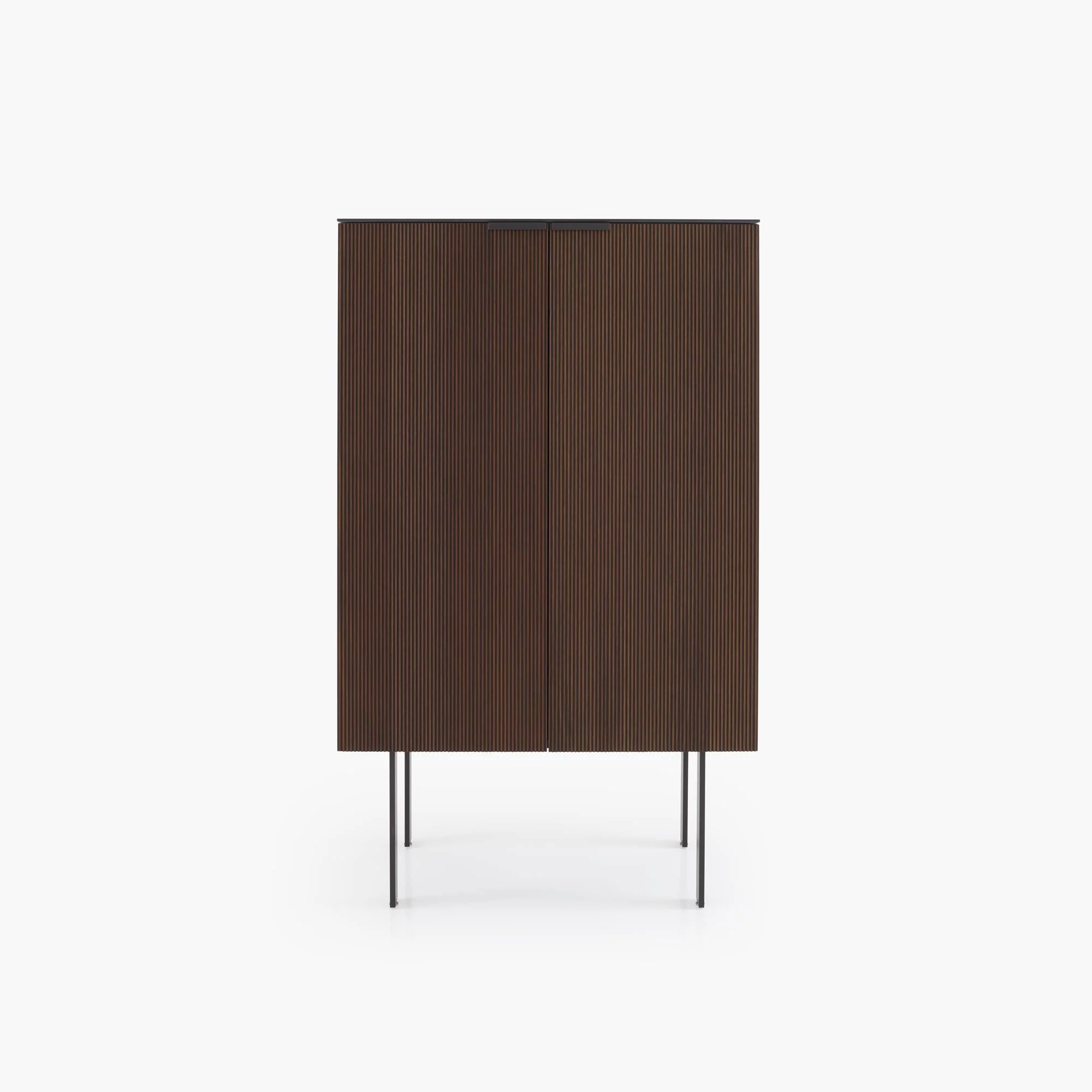 Selvans Cupboard With Doors C 65