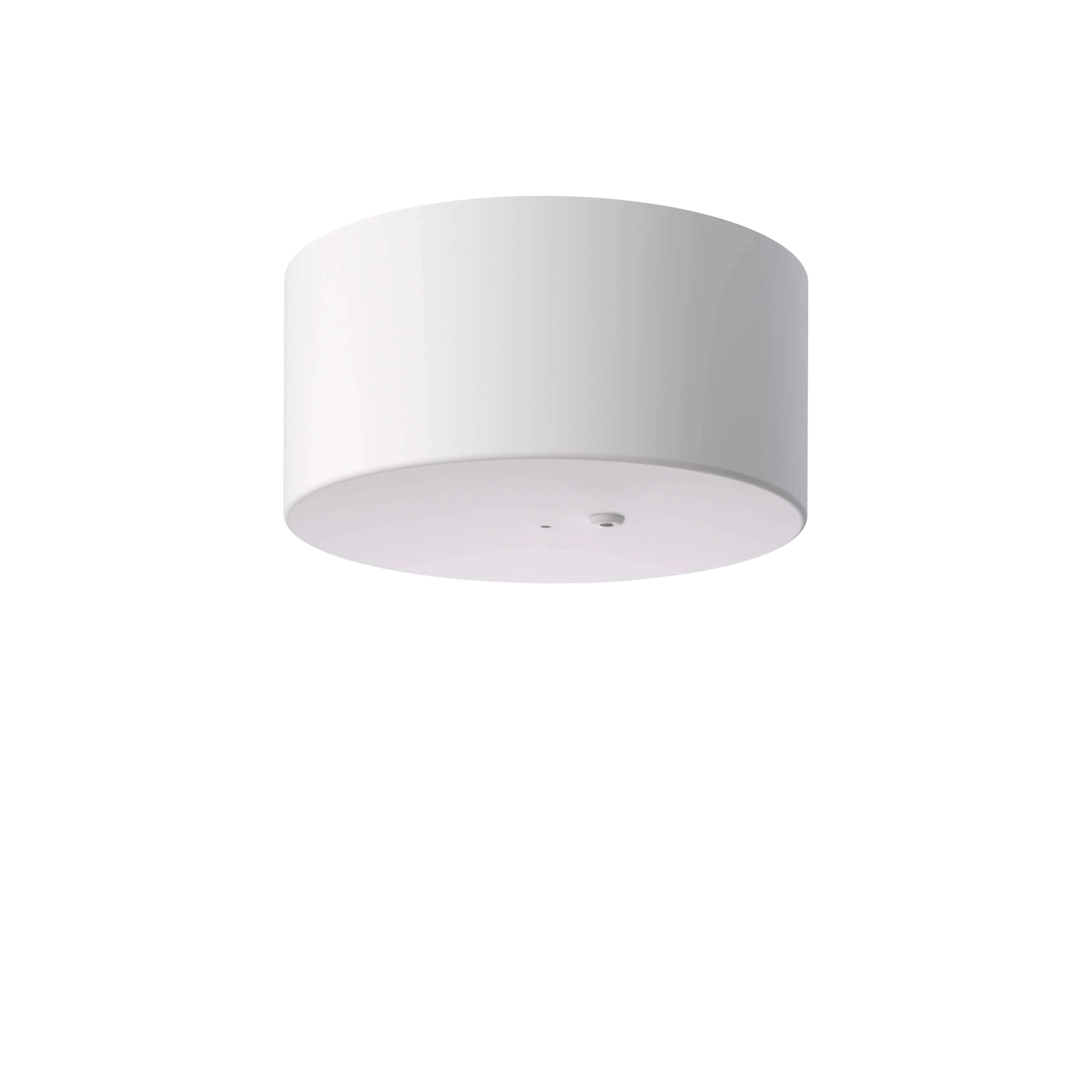 My Disc Rose Accessories