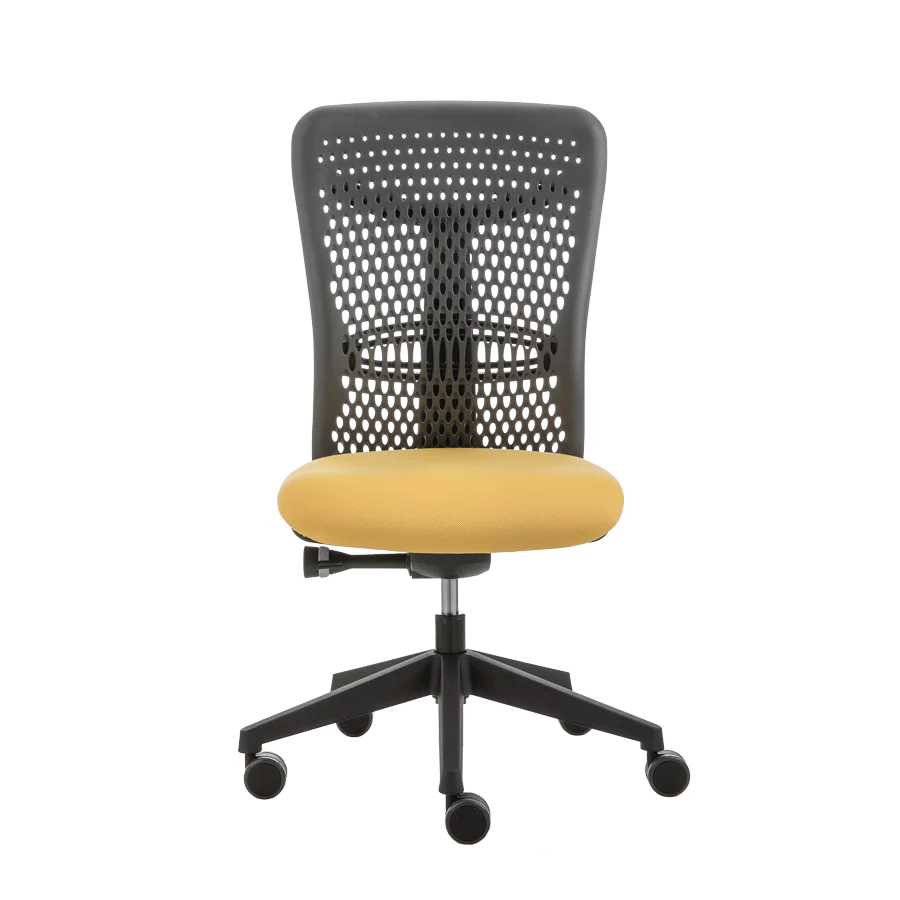 Smartback PK1 Task Chair