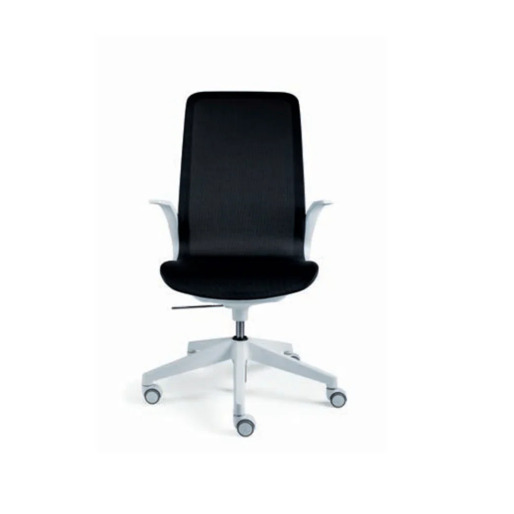Smartlight EX4 Executive Chair