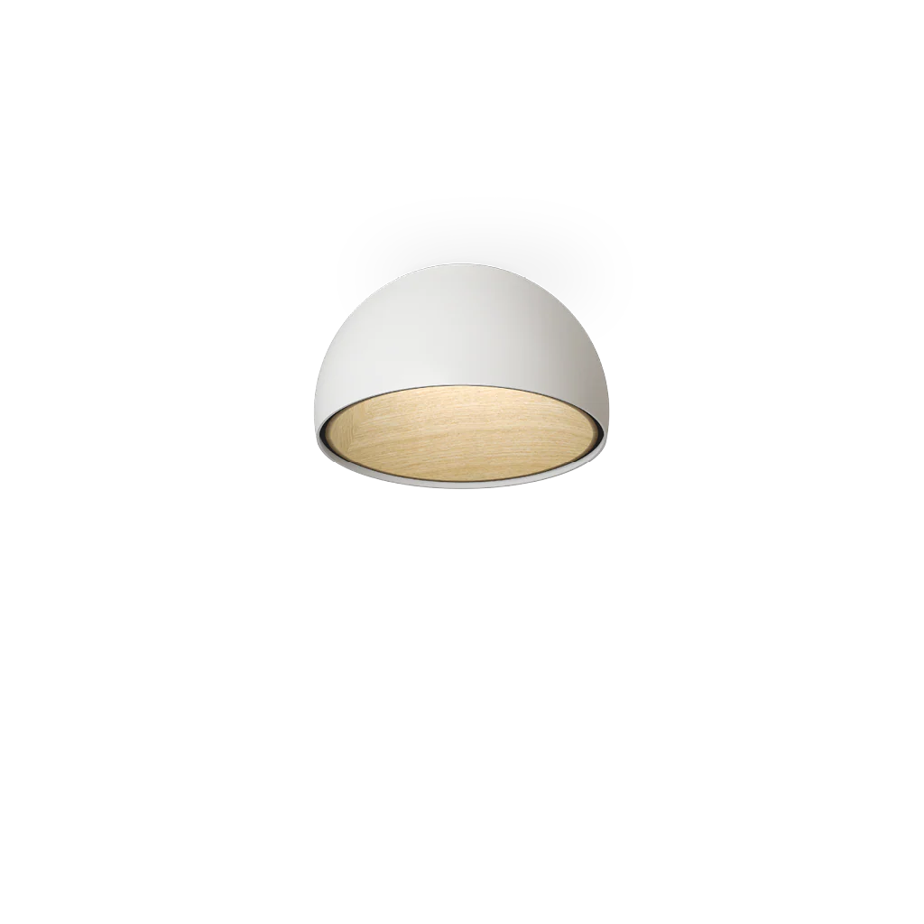 Duo Ceiling Lamp