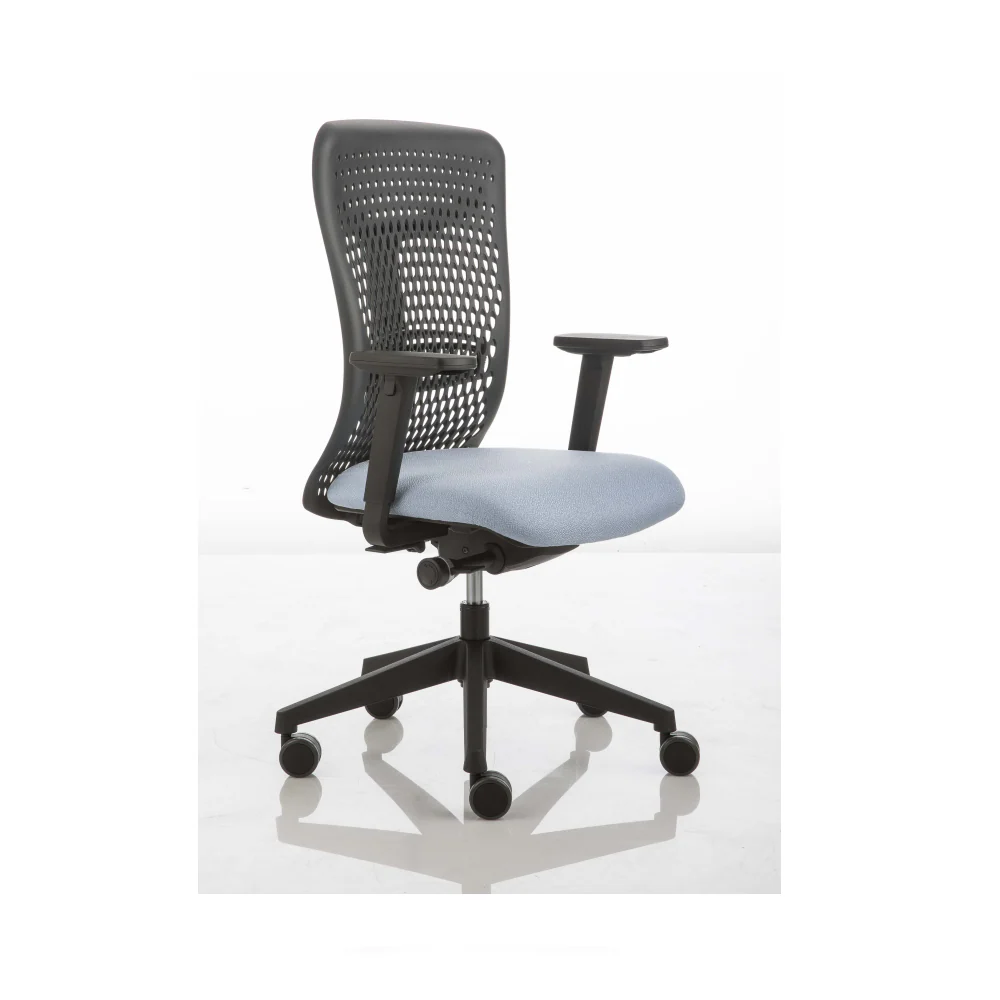 Smartback PK3 Task Chair