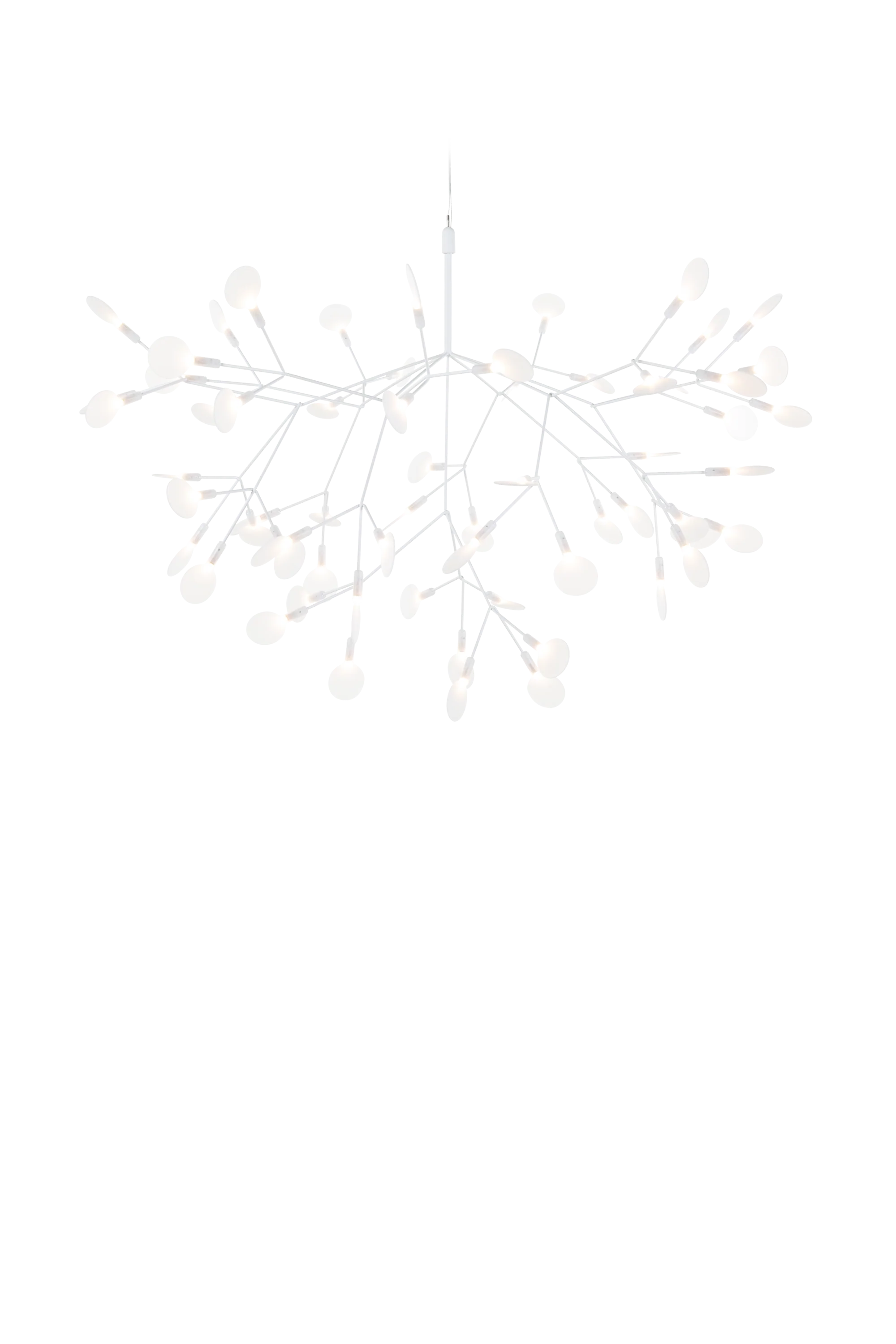 HERACLEUM III Suspended