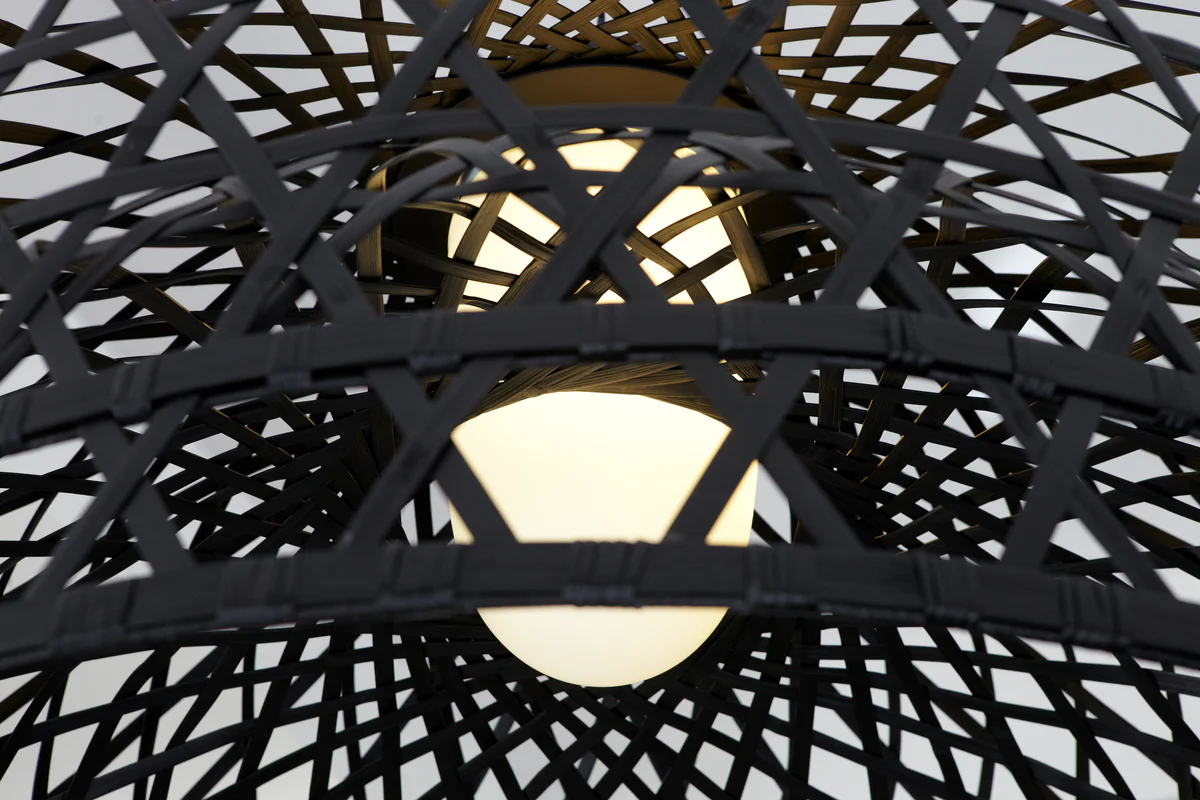 Emperor, M Suspended