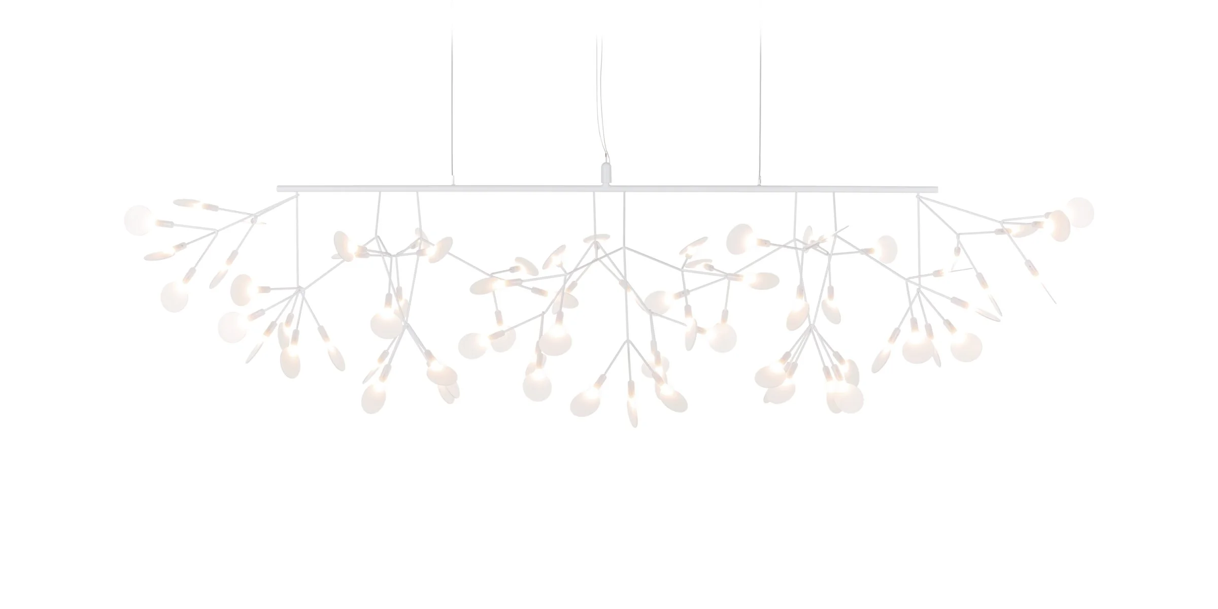 HERACLEUM III Linear