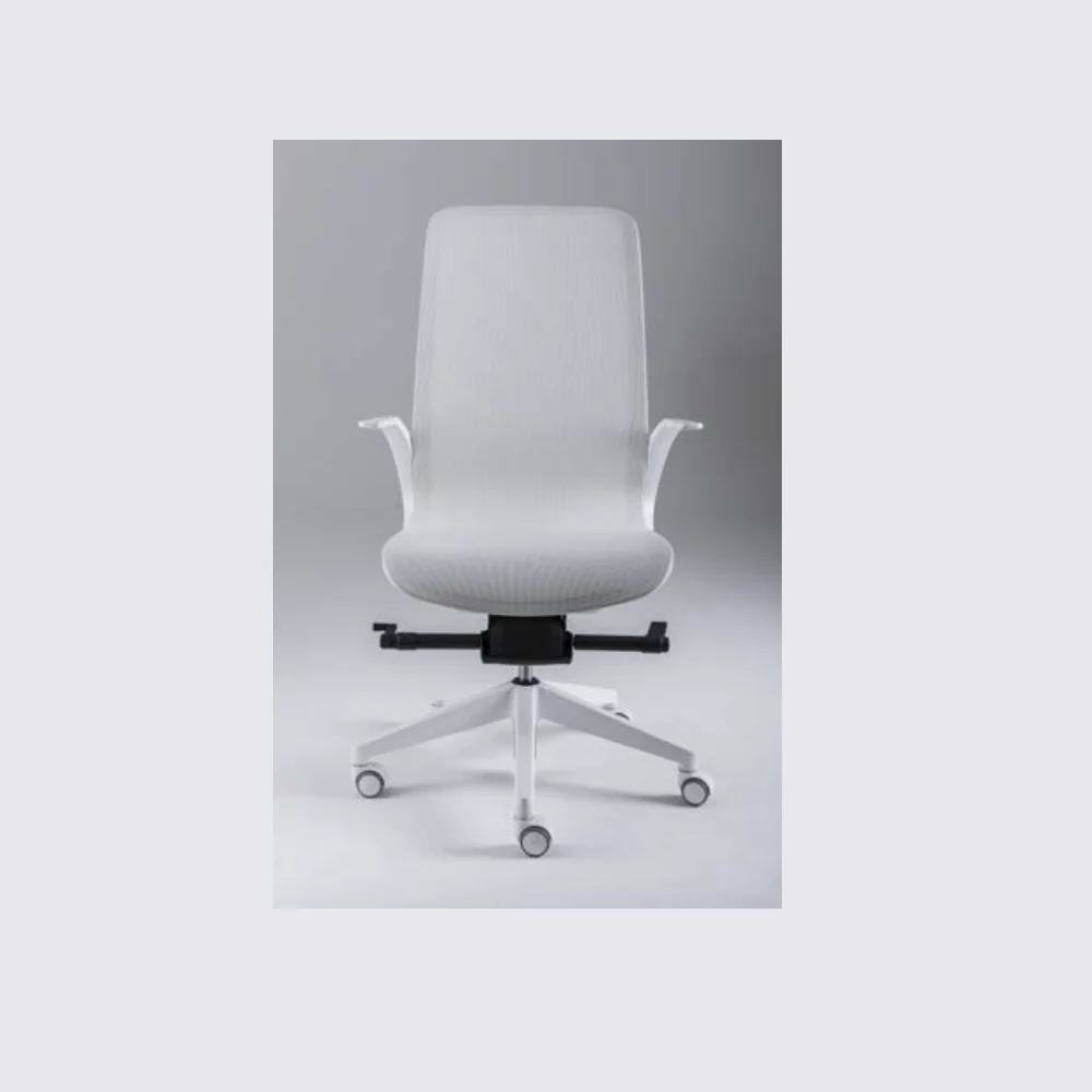 Smartlight EX1 Executive Chair