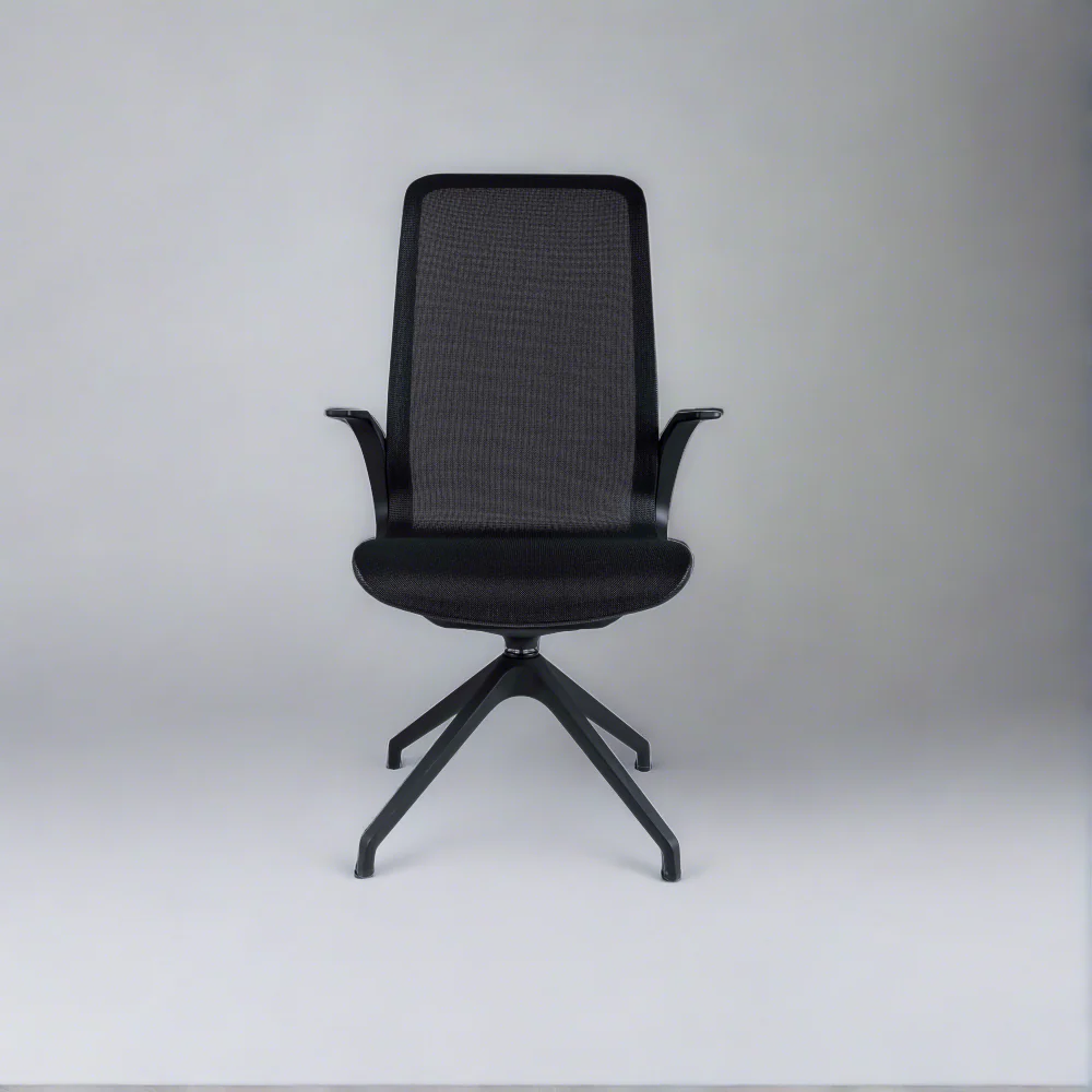 Smartlight EX13 Executive Chair