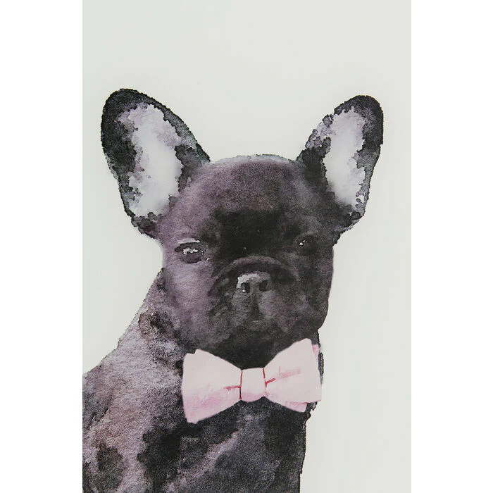 Picture Glass Fashion Dog 60x80cm