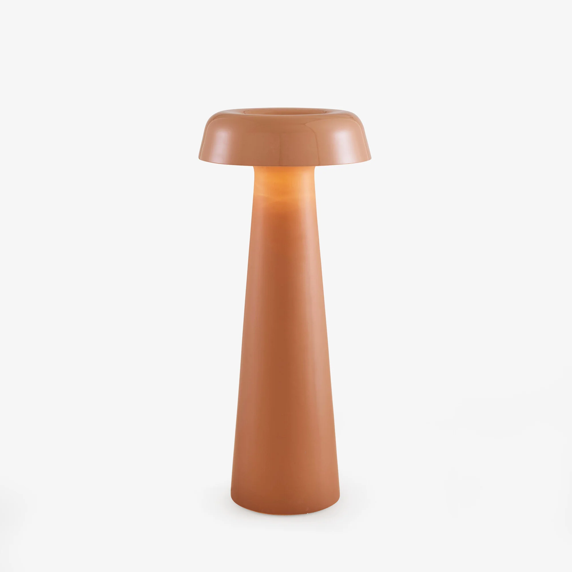 Shiitake Reading Lamp