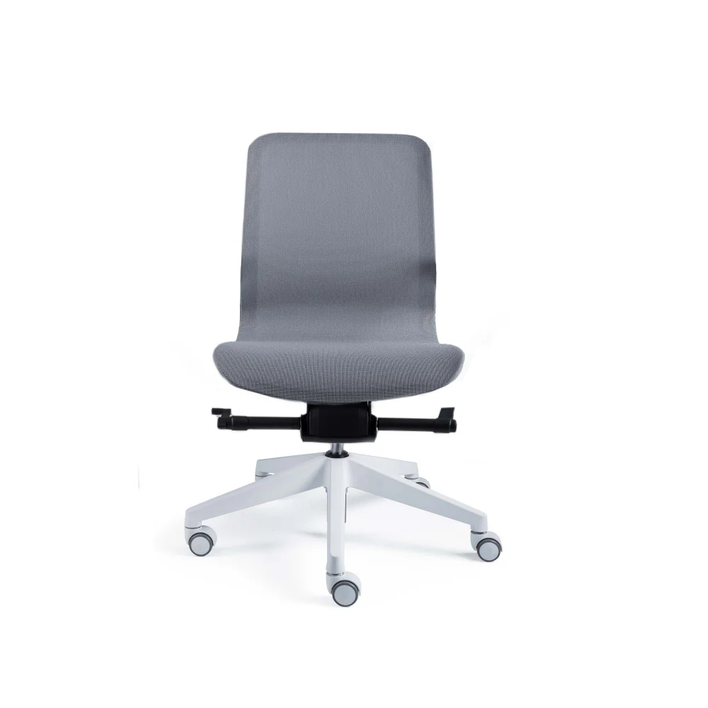 Smartlight EX3 Executive Chair