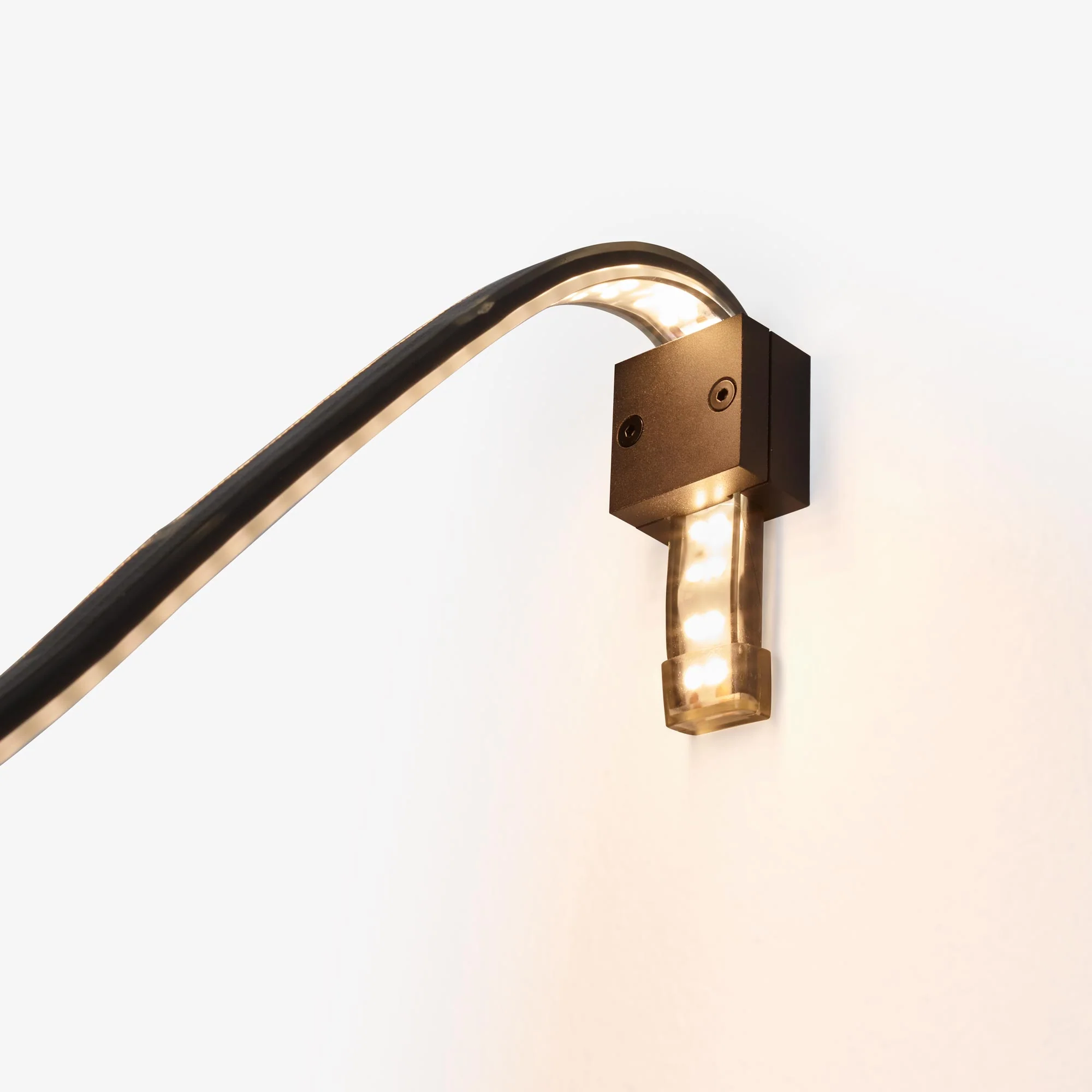 Feston Stem + Led Ribbon + Wall Support + Hook