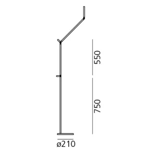 DEMETRA READING FLOOR