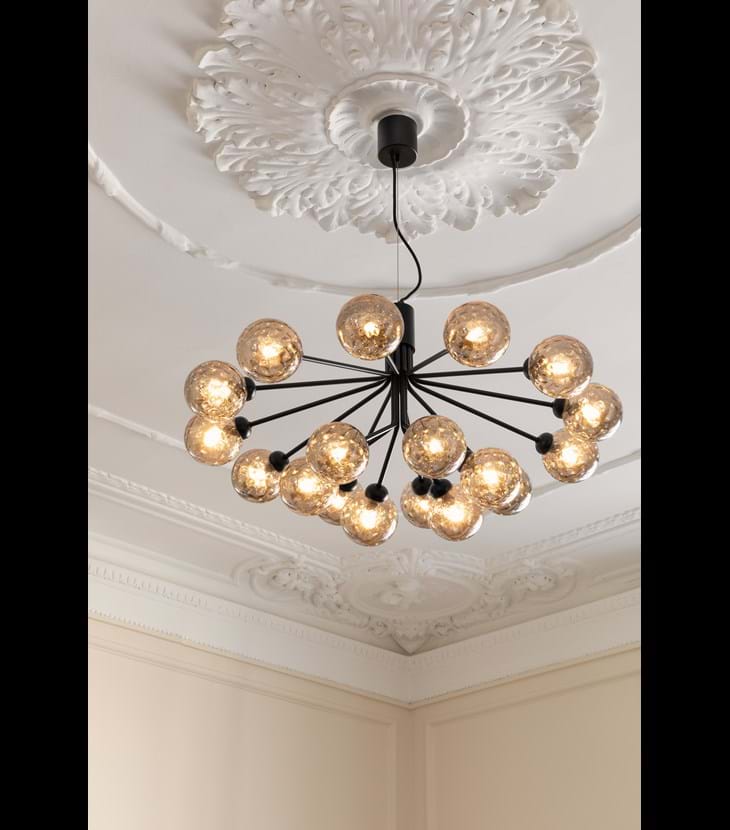 Apiales 18 Suspension Lamp