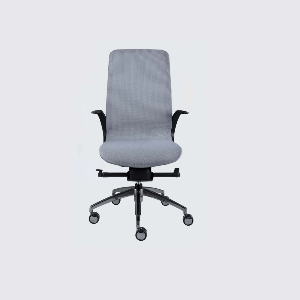 Smartlight EX1 Executive Chair
