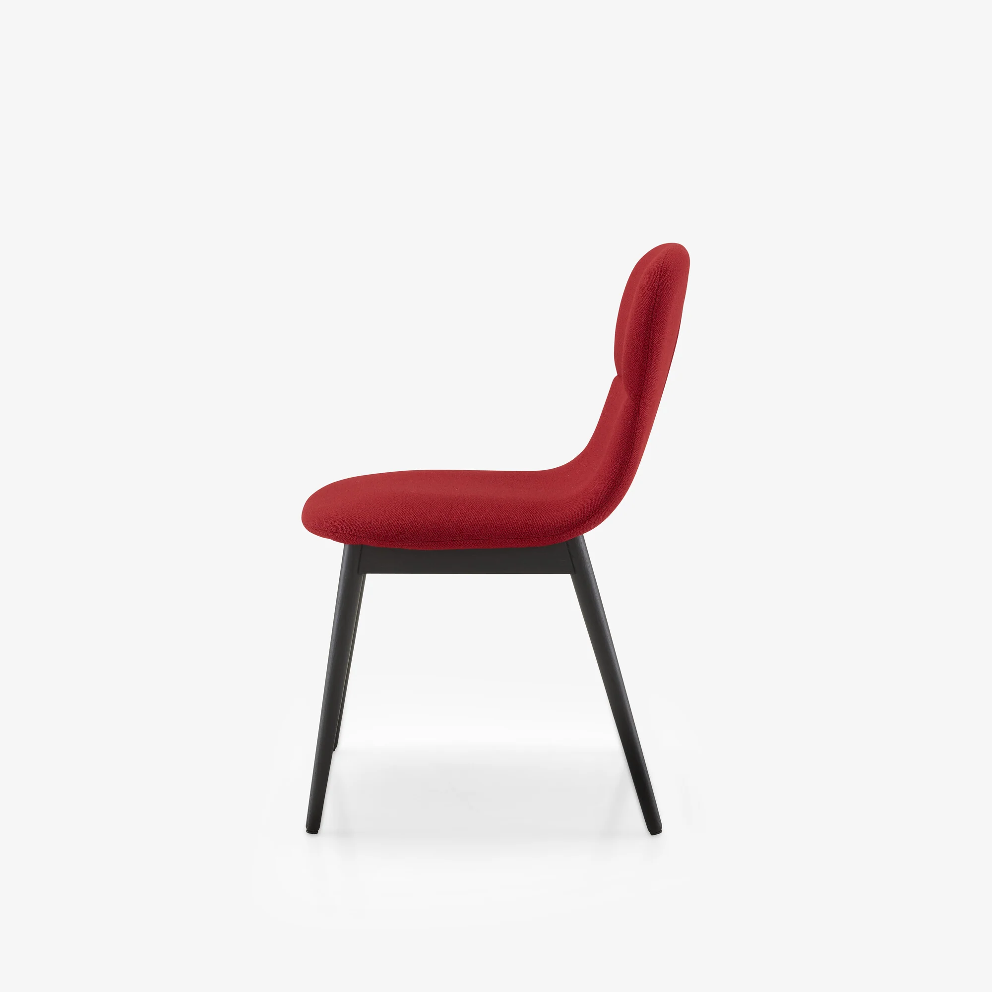 Silvio / Silvia Chair - Silvio
