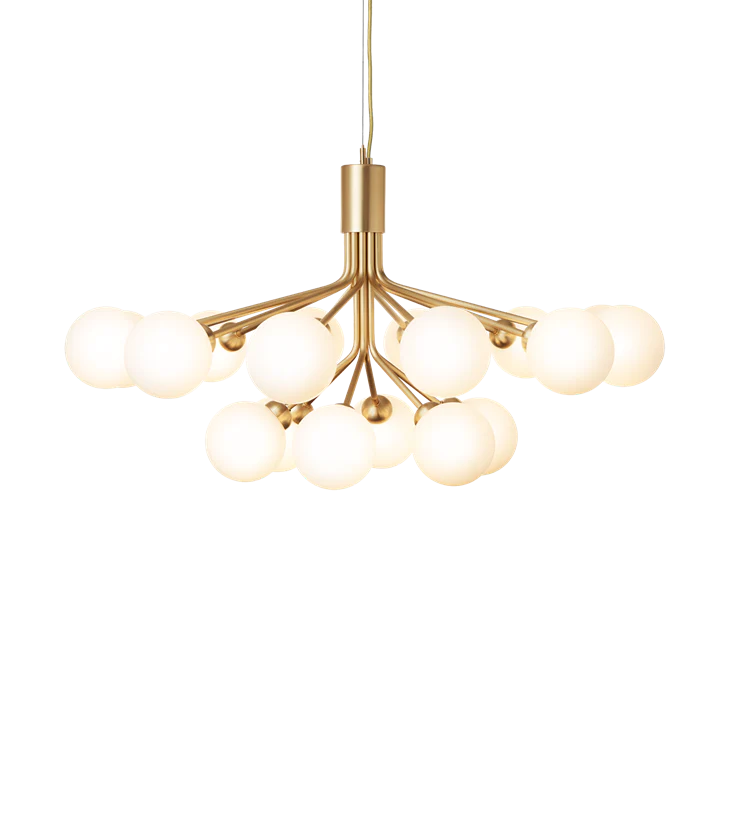 Apiales 18 Suspension Lamp