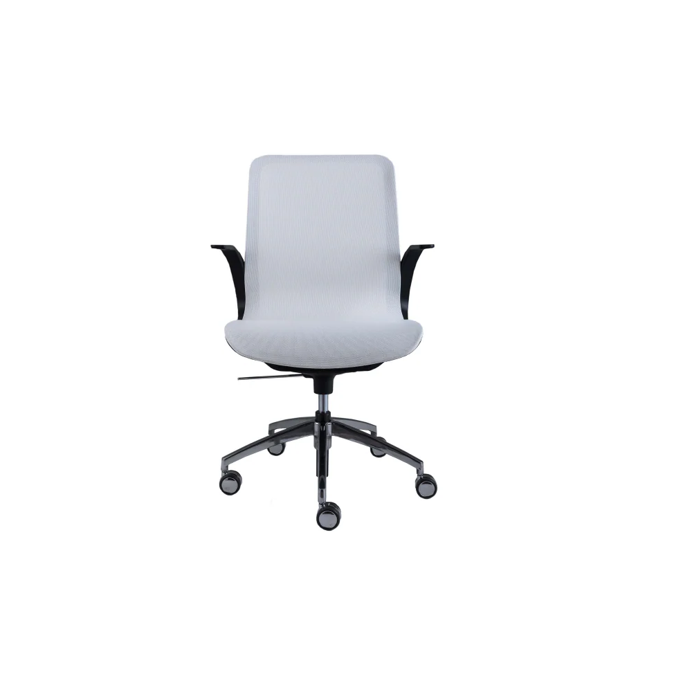 Smartlight EX5 Executive Chair